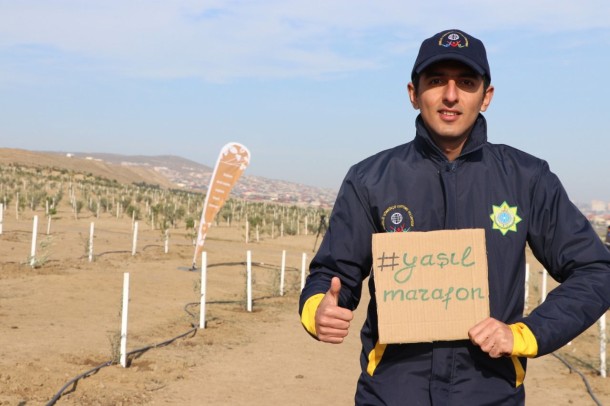 "Yaşıl Marafon" ağacəkmə kampaniyasında digər qurumlar da iştirak edir - FOTOLAR